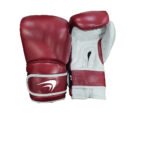 Boxing gloves