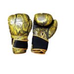 Boxing gloves