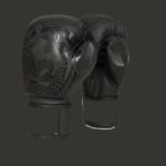 Boxing gloves